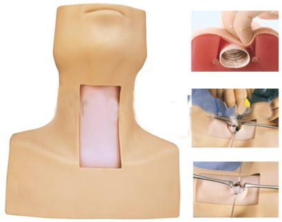 高级环甲膜穿刺及气管切开插管训练模型GD/J58
