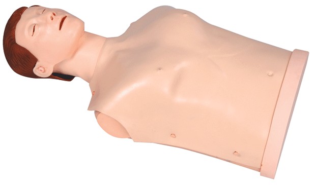半身心肺复苏训练模拟人(简易型)GD/CPR170S
