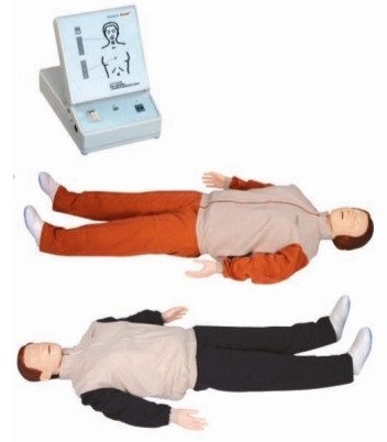 高级心肺复苏训练模拟人(全身/半身)GD/CPR180S 
