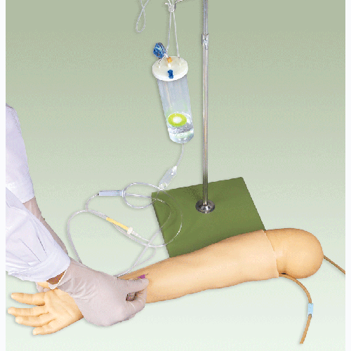高级儿童手臂静脉穿刺训练模型GD/HS8 