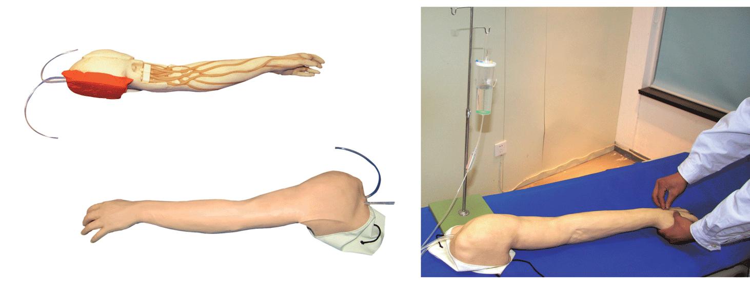 完整静脉穿刺手臂模型GD/HS39
