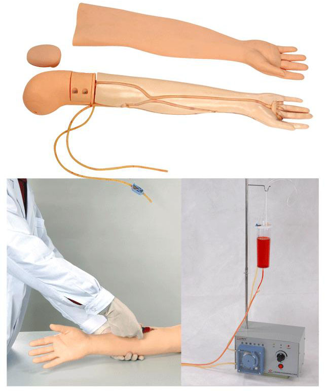 全功能静脉穿刺输液手臂模型GD/HS3 