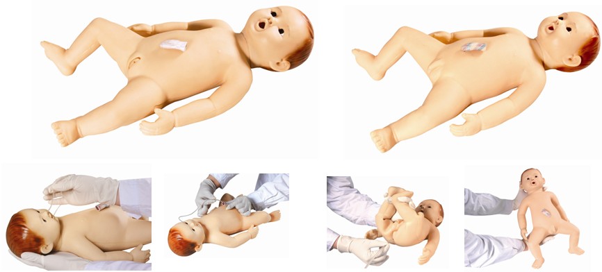 高级婴儿护理模型GD/FT13 