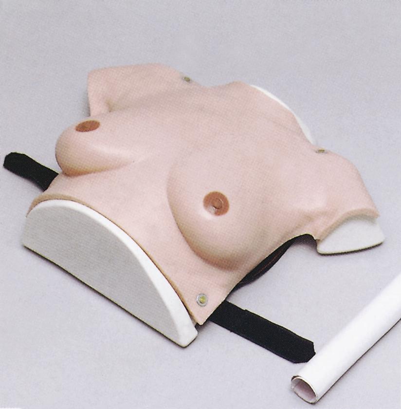 高级着装式乳房自检模型GD/F7C 