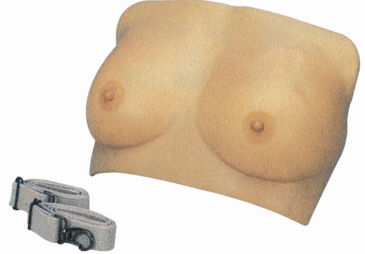 高级乳房检查模型GD/F7A 