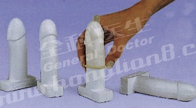 高级男性避孕器练习模型GD/F9A 