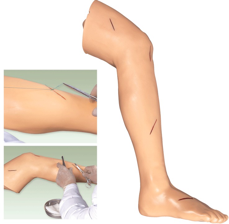 高级外科缝合下肢模型GD/LV2 