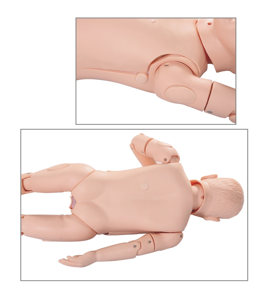 JY/H167小儿胸腔穿刺模型