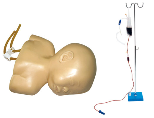 JY/HS6E高级婴儿头皮静脉穿刺训练模型