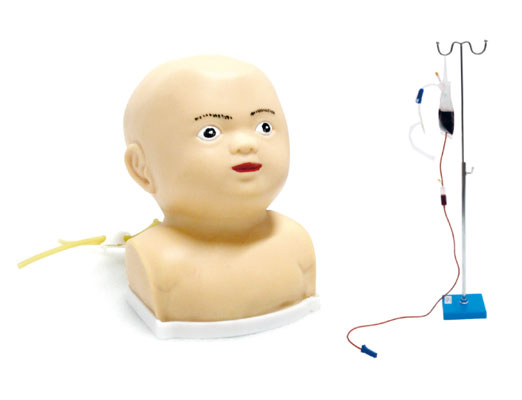 JY/HS6F高级婴儿头部综合静脉穿刺模型