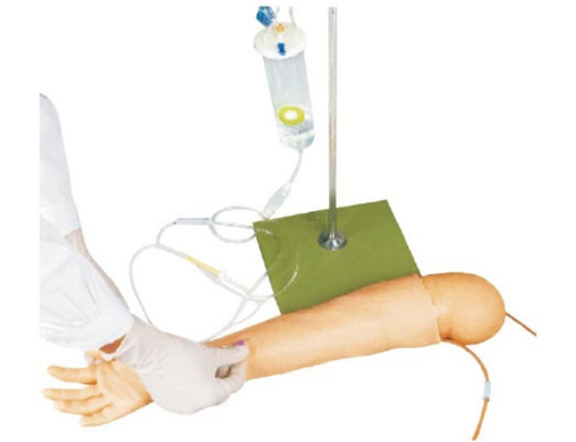 JY/HS8高级儿童手臂脉穿刺训练模型