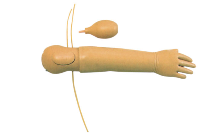 JY/HS33高级幼儿静脉穿刺手臂模型