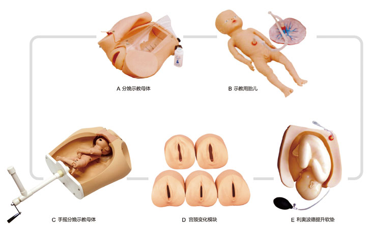 JY/F54高级腹部触诊/分娩机转综合模型