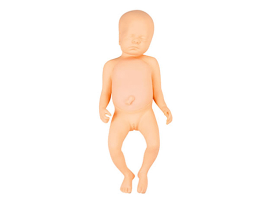 JY/FT1高级足月胎儿模型