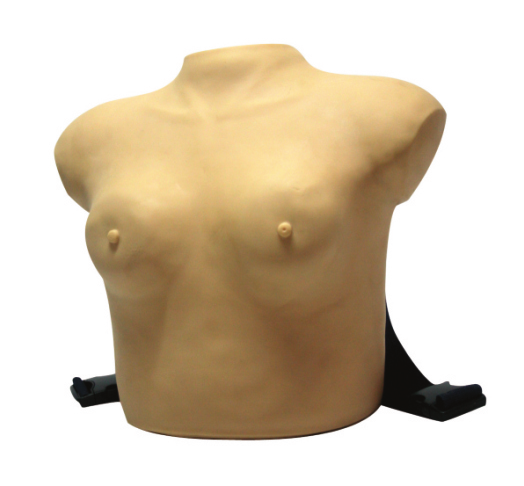 JY/F7C高级着装式乳房自检模型