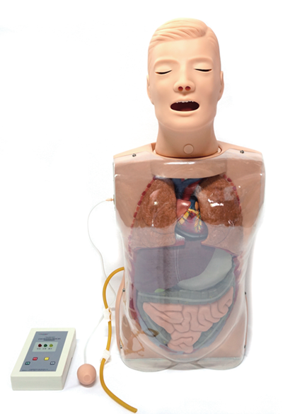 JY/H80多功能透明洗胃训练模型