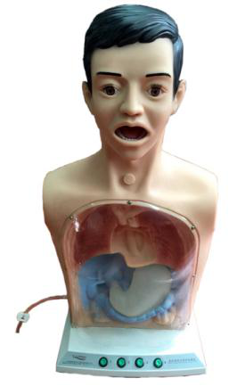 JY/XW单色带警示透明洗胃机制模型