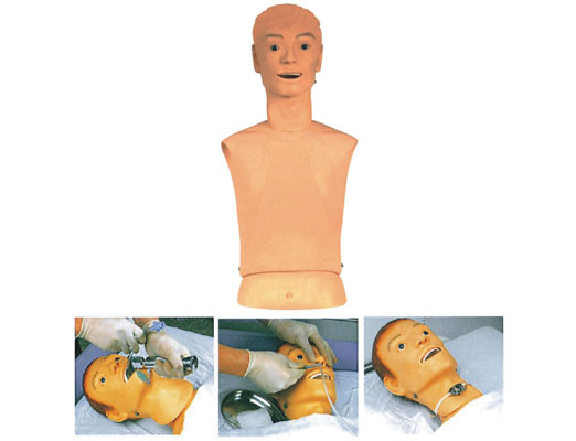 JY/H70-1高级鼻胃管与气管护理模型