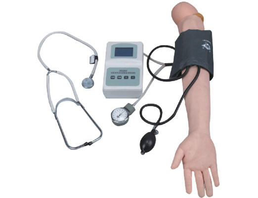 JY/HS7高级手臂血压测量训练手臂模型