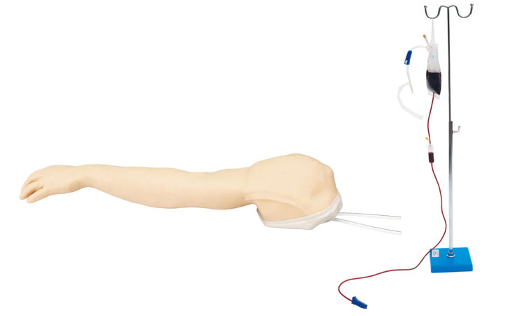 JY/HS39完整静脉穿刺手臂模型