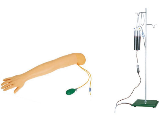 JY/HS4E高级动脉穿刺手臂模型