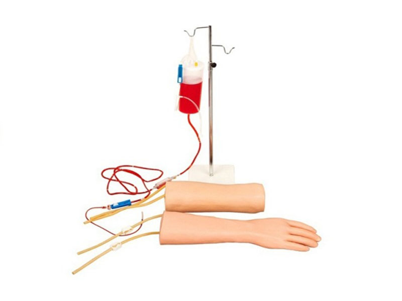 JY/HS42手部、肘部组合式静脉输液（血）训练手臂