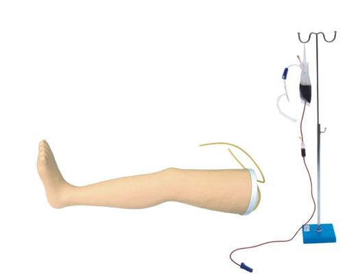 JY/HS16高级静脉输液腿模型