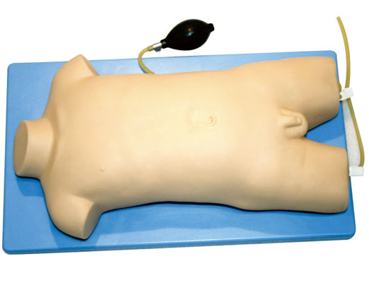 JY/L65C儿童股静脉与股动脉穿刺仿真标准化标人