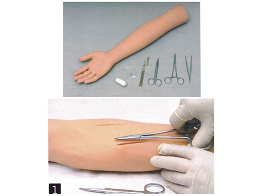 JY/LV1高级外科缝合手臂模型