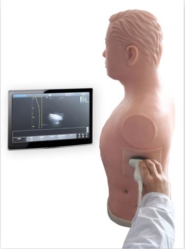 JY/CS320超声引导下胸腔穿刺技能训练模型