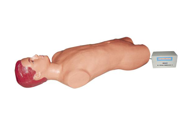 JY/CFG126腹腔与股静脉穿刺电动模型