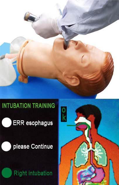 全功能气道管理模型具有食管插管功能配液晶显示器，电子监测气管插管不同位置