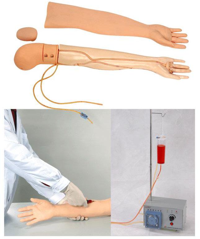 全功能静脉穿刺输液手臂模型