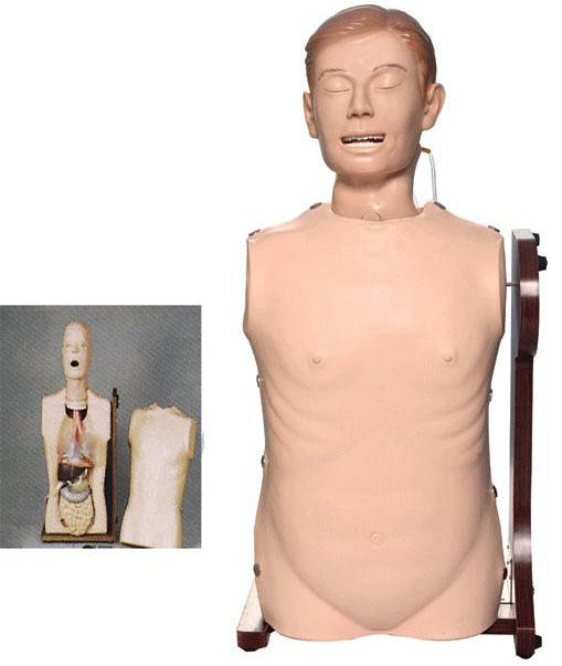 高级鼻胃管与气管护理模型GD/H81 