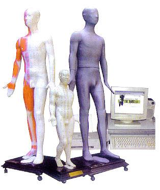 人体针灸穴位发光模型JAW-100E 