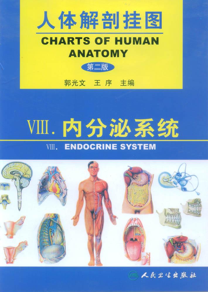 人体解剖挂图-内分泌系统 是我公司自行研发生产热销的医学教学模型,相关产品：急救训练模型，临床综合专科技能训练模型等，欢迎各医院单位订购021-63283651