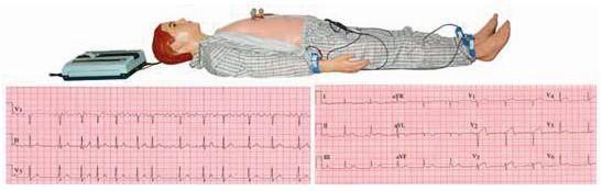 高级多种心电图电脑模拟人GD/ZXD190 