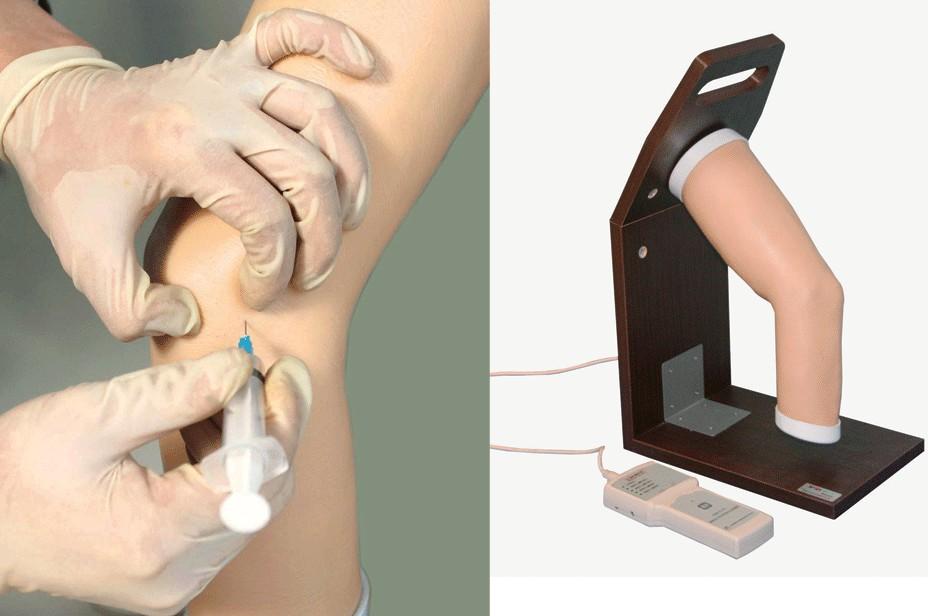 高级电子肘关节腔内注射模型GD/L71 